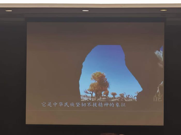 綿陽中旅行假日旅行社舉行胡楊林、南疆專列推薦會(huì)