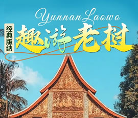 【趣游老撾 · 經(jīng)典版納】—昆明、普洱、西雙版納、磨丁、瑯勃拉邦四動8日游